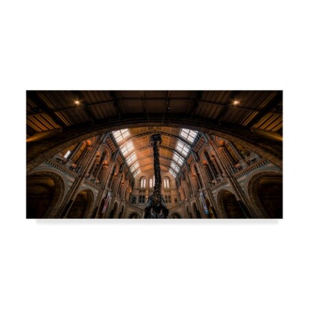 Giuseppe Torre 'Natural History Museum 3' Canvas Art,12x24